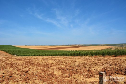 PR1 - Azenhas e Fortins do Guadiana