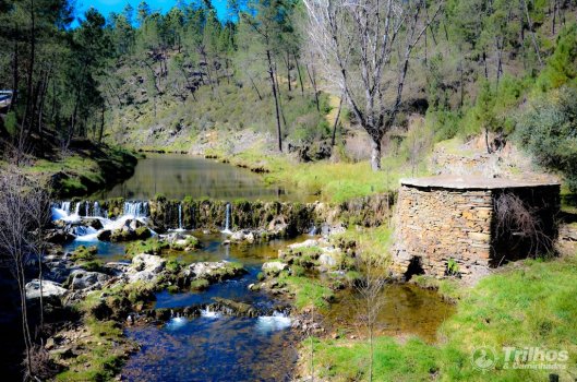 PR8 - Rota dos Moinhos – Almaceda / Sarzedas